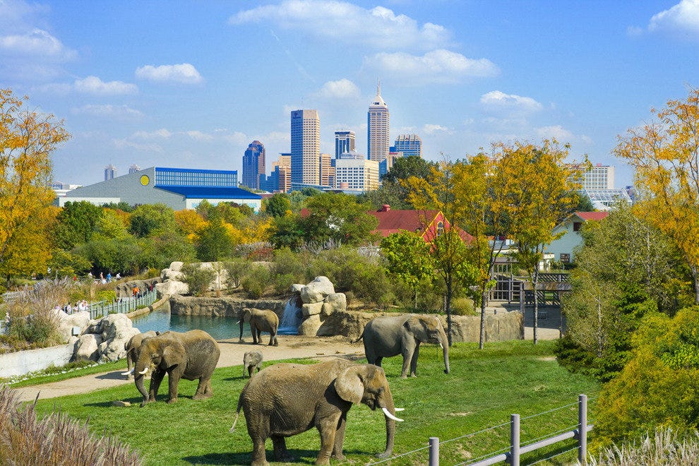 Denver Zoo | VITAE Glass