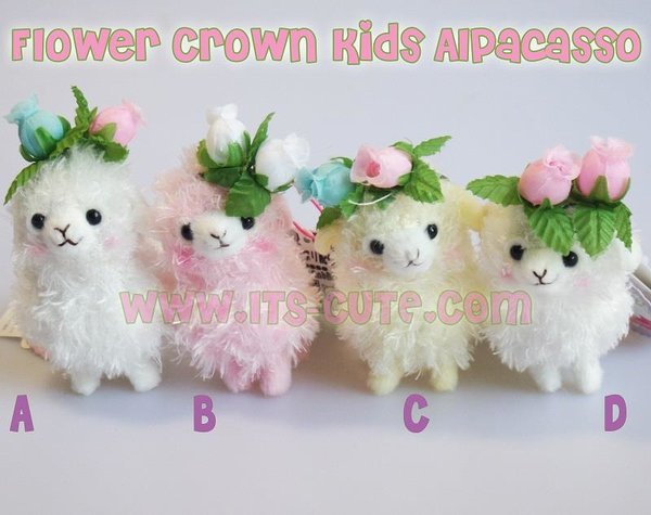 kids alpacasso