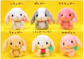 amuse plush official website