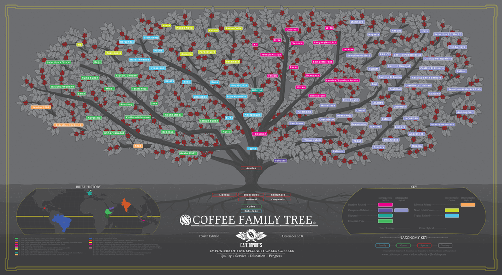 variété café arabica café imports