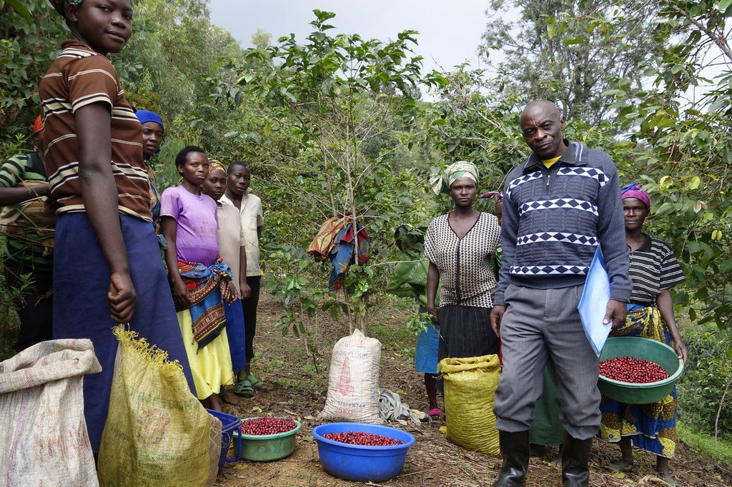 Mahembe café arabica Rwanda