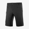 Wayfarer Shorts Men's