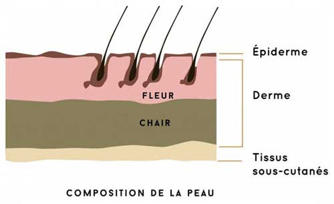 couches du cuir