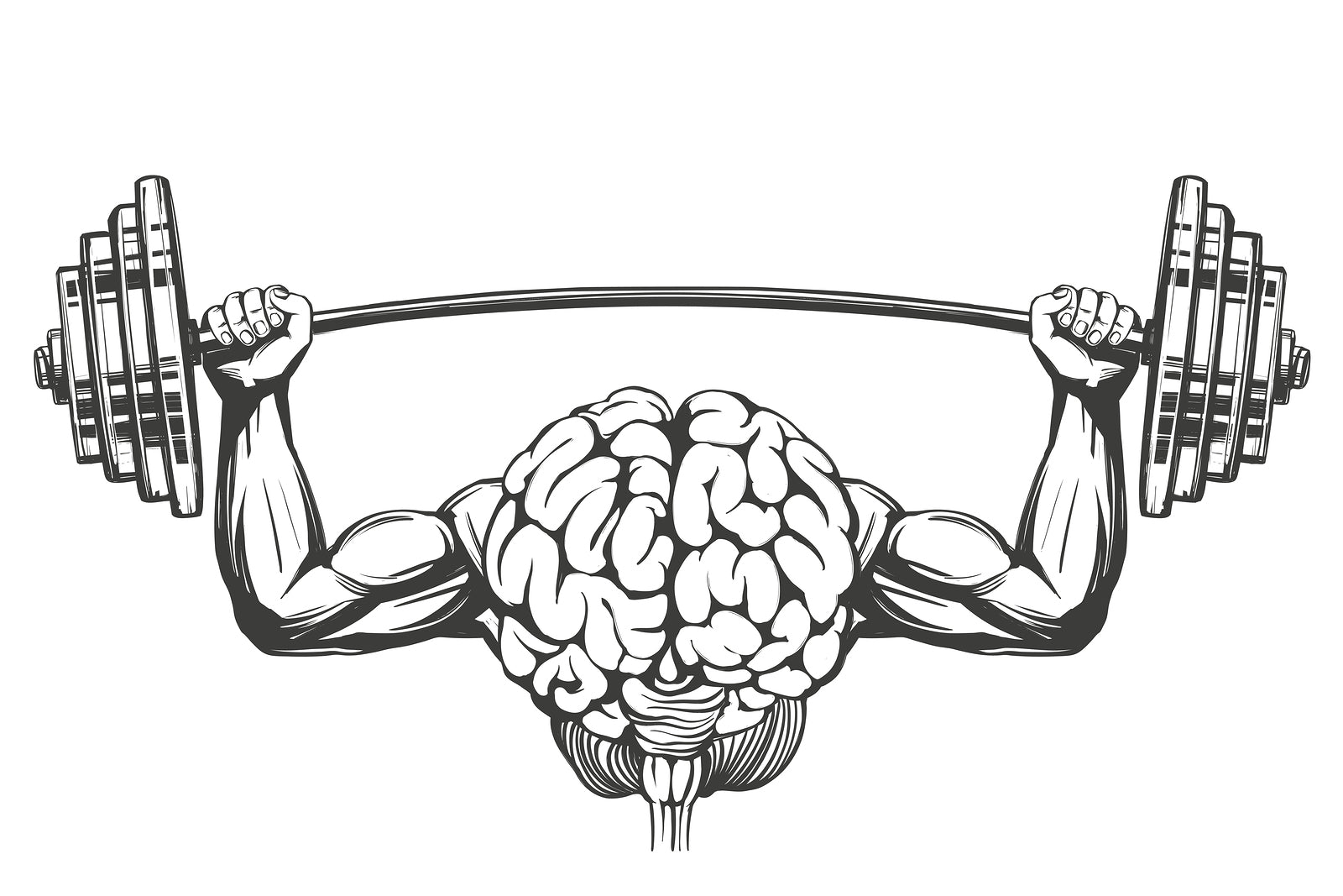 A brain with muscular arms as an example of how the best nootropics can benefit bodybuilders