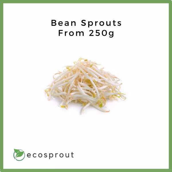 online delivery of vegetablesbean sprouts in the philippines on where to buy bean sprouts in manila