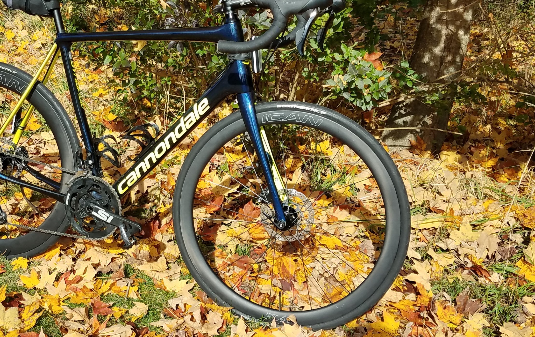 The trending road wheel -- with carbon rim and a disc brake