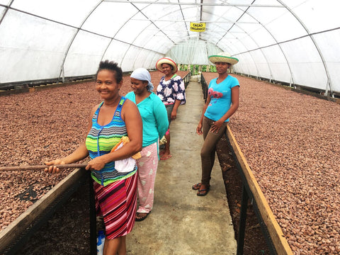 Women working drying beds at OKO Caribe