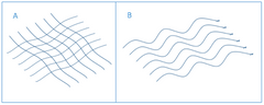 Phimosis- Scar free vs Scarring on skin collagen structure