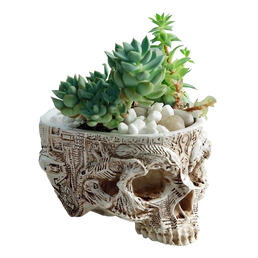 tête de mort décoration plante