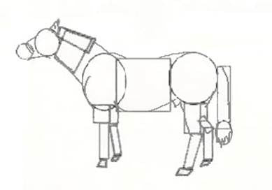 learn to draw-horses