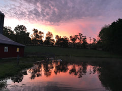 Mornings on the farm, sunrise