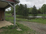 farm pond, Rocky' First Day on Our Farm