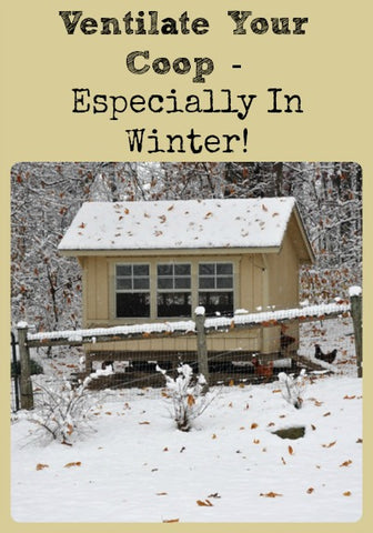 chicken coops ventilated winter