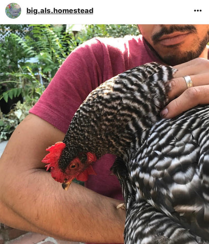 man holding chicken IG chicken pet parents Chicken Moms & Dads of Instagram