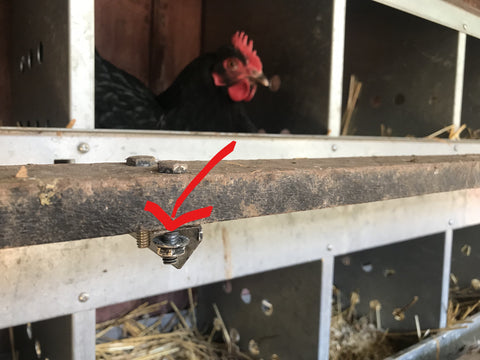 nesting box backyard chicken roost 