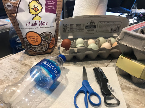 diy chicken toy cluck yea eggs 