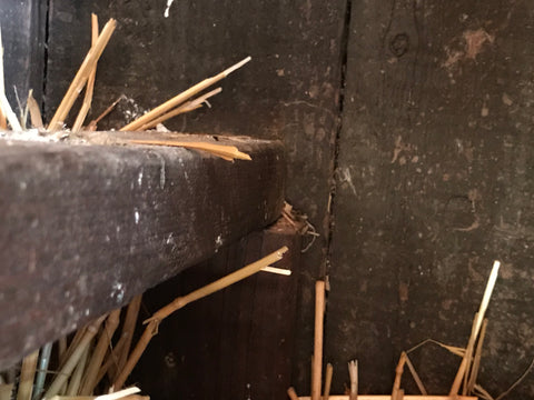 chicken coop roost 