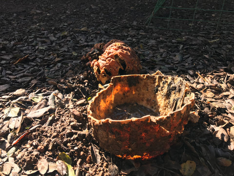 chicken run moldy food toxic chicken safety