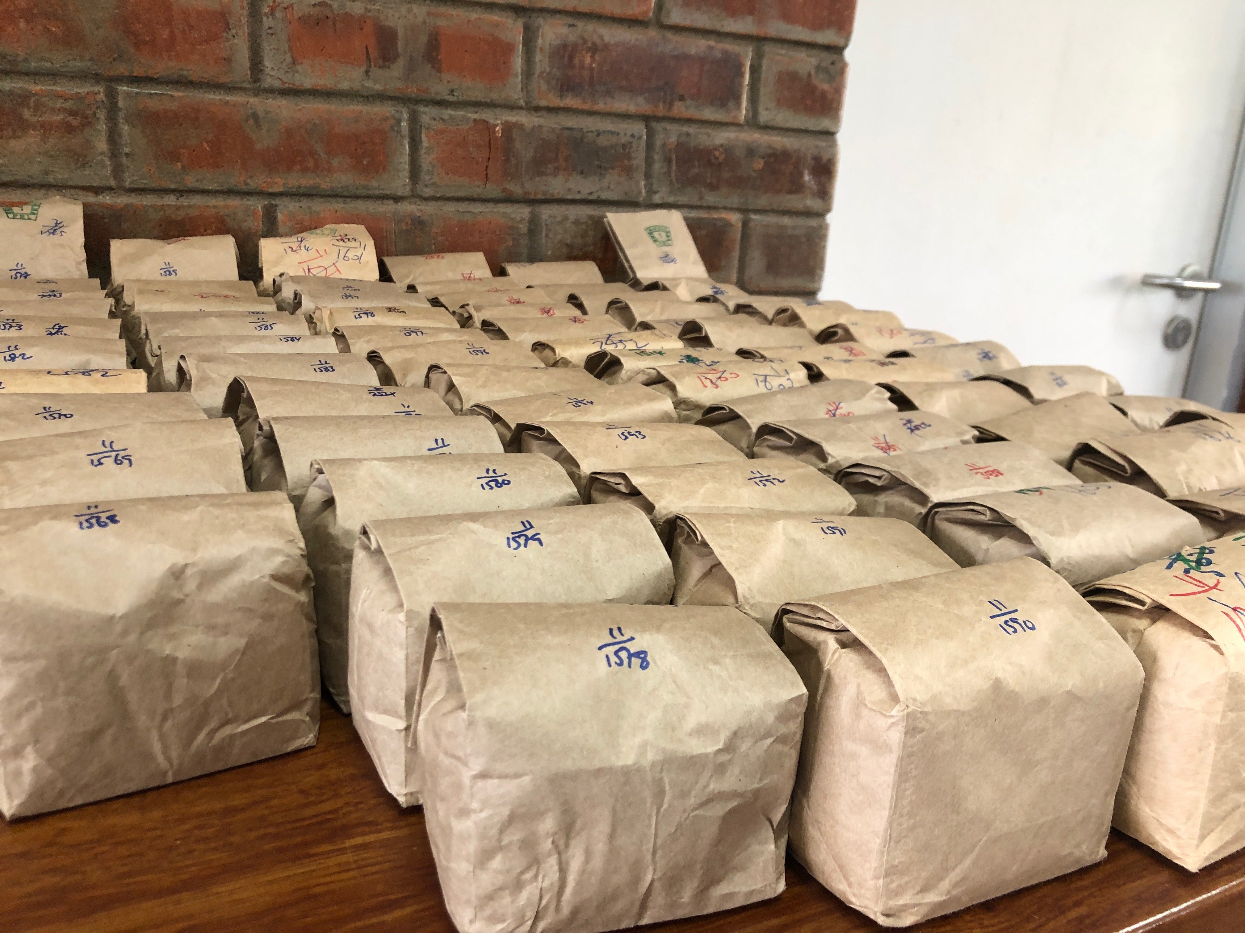 tabled with rows of paper bags of coffee to be tasted and chosen for purchase at Dormans in Kenya