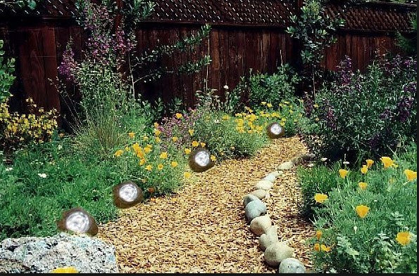 Rock Solar Lights