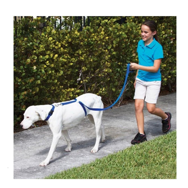 Instant Trainer Dog Leash