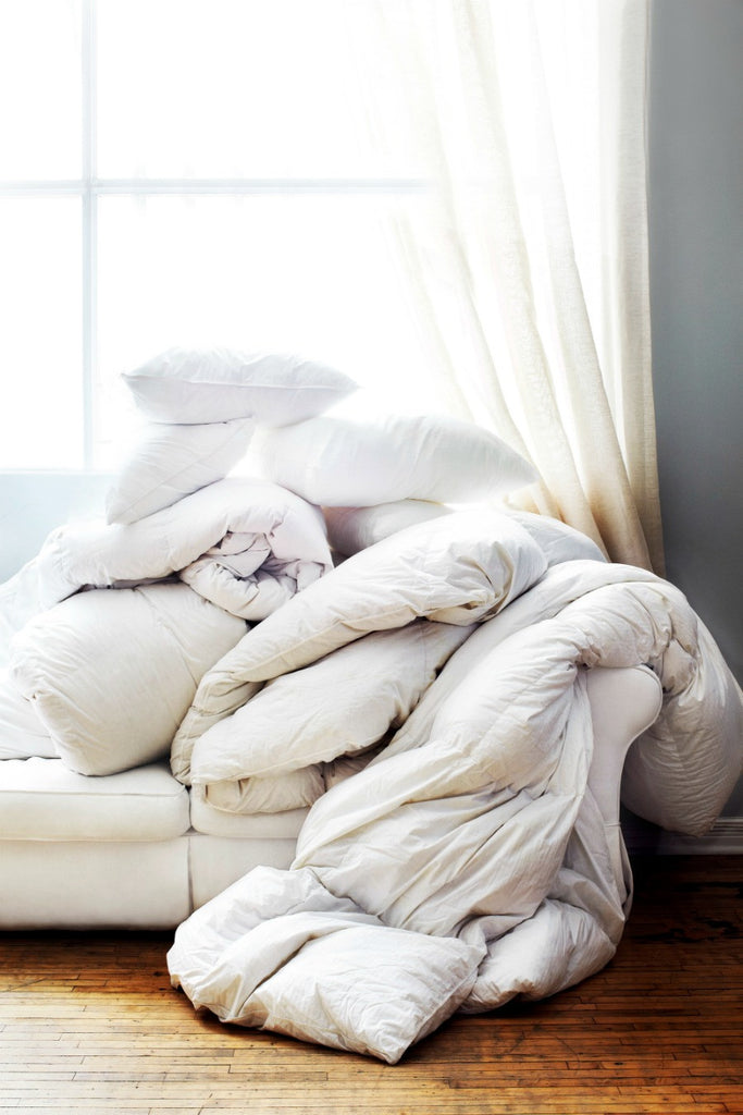 Au Lit Fine Linens - Pillows & Duvets