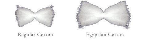 Egyptian Cotton Versus Regular Cotton