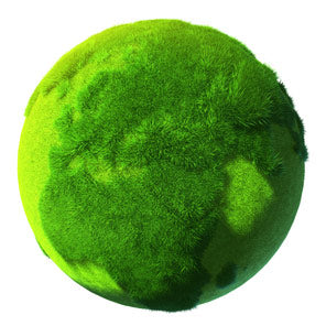 Things You Didn't Know You Could Recycle Eco Grass Globe