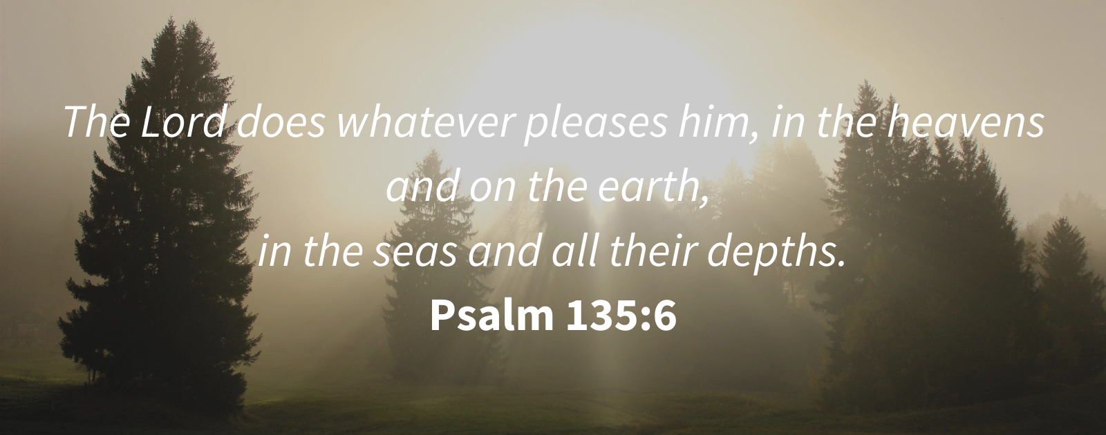 Psalm 135 6