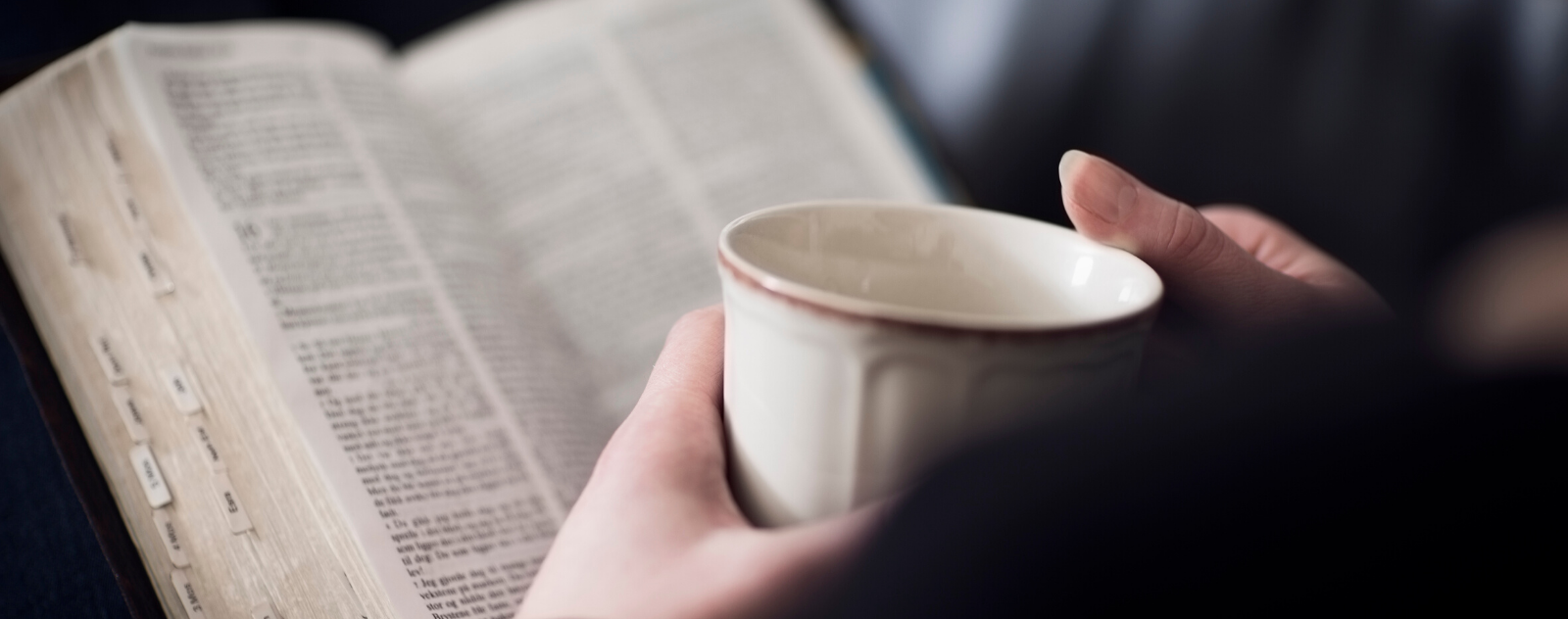 The Gospel of matthew for a Bible Study