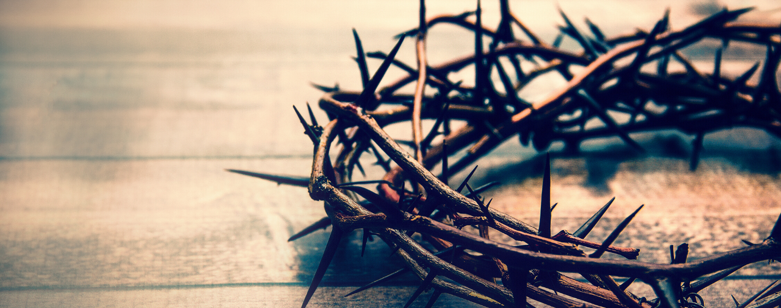 crown of thorns in the bible