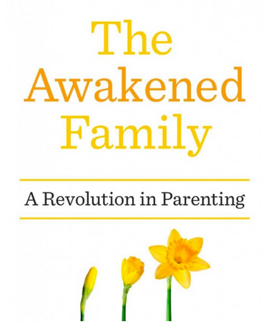 The Awakened Family new parenting ideas on Little Citizens Boutique