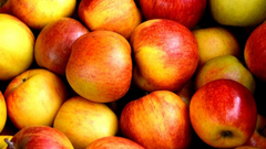10 Tips for Healthy Grocery Shopping