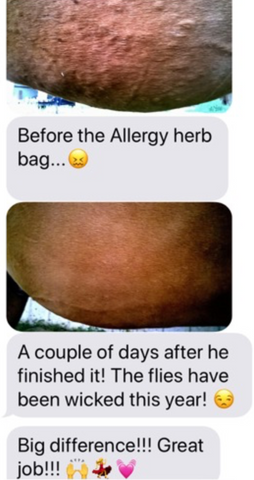 horse allergy relief