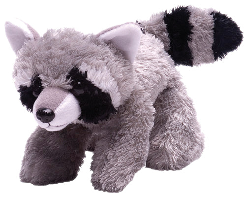 raccoon hugging stuffed raccoon