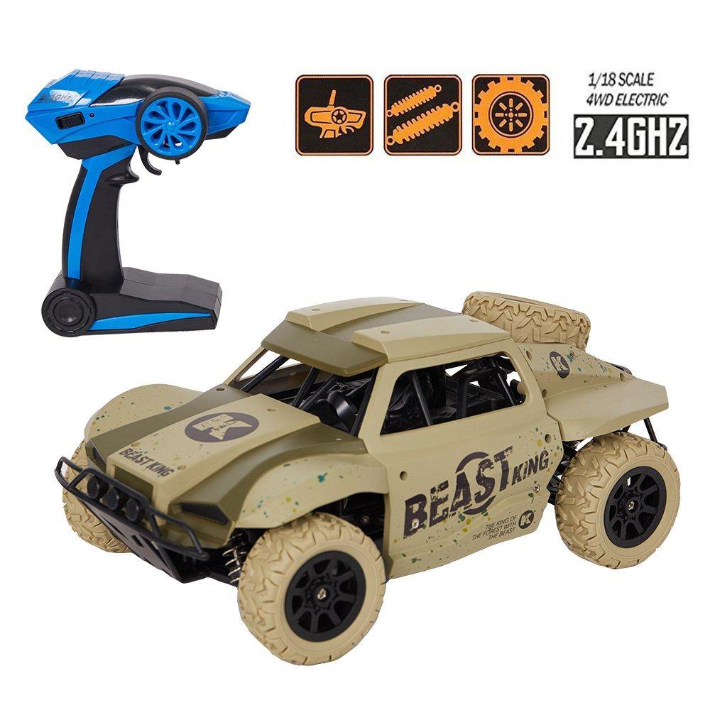 high performance remote control cars