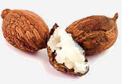 Ingredient - Shea