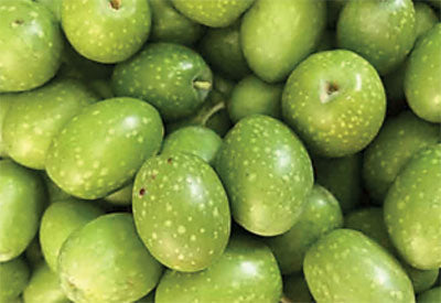 Ingredient - Olives - Squalane