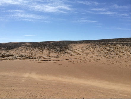 Atacama desert