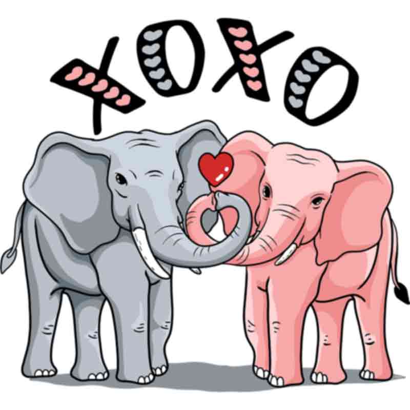 XOXO Elephants (DTF Transfer)