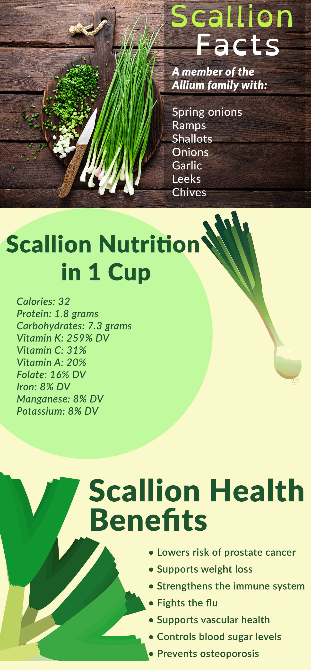 Scallion Nutrition