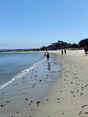 Monterey beach looking for sea glass seaside harmony
