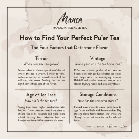 How to find your perfect pu-erh tea  by understanding the factors that influence quality