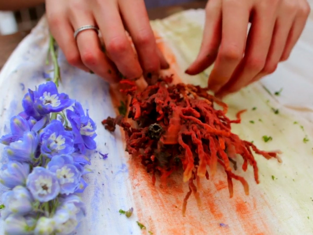 hands touching flowers for fabric dye