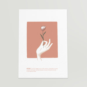 print rose vanessa illustration casulo curated shop