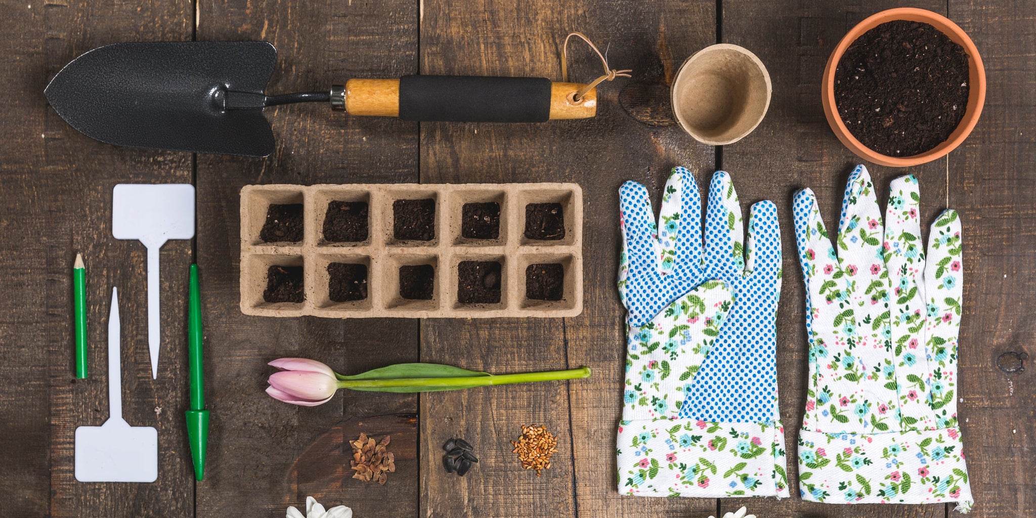 Starting Your Garden from Seeds Indoors | Patio Essentials