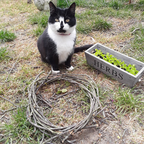 Wreath and cat
