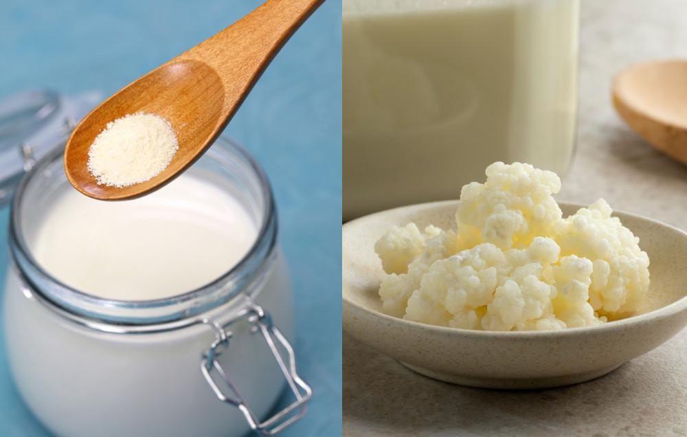 Powdered Kefir Starter Vs Milk Kefir Grains Fermentation Revolution