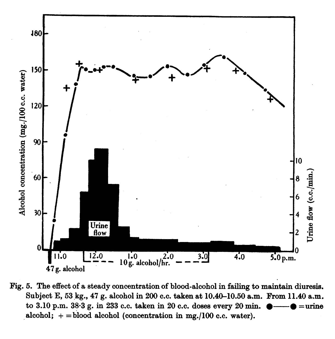 Graph showing urine output versus blood alcohol concentration after multiple drinks