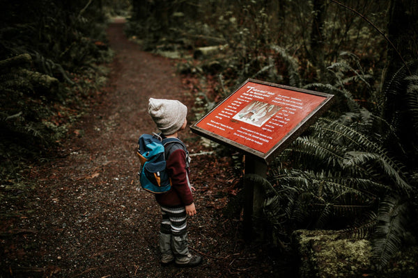 a kid wandering in the woods reading a sign